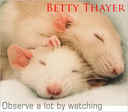 cover-album cover-album