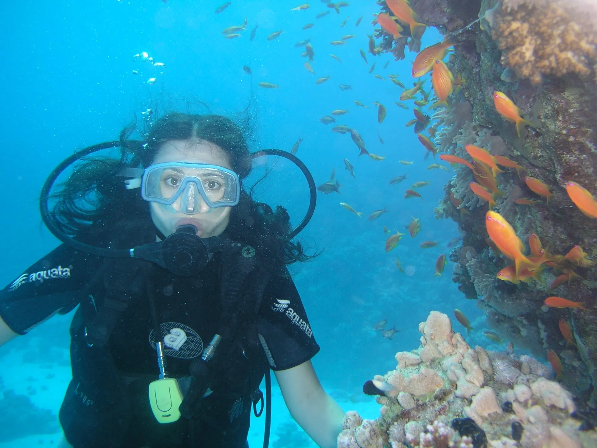 Photo 4 from “Diving in the Red Sea”
