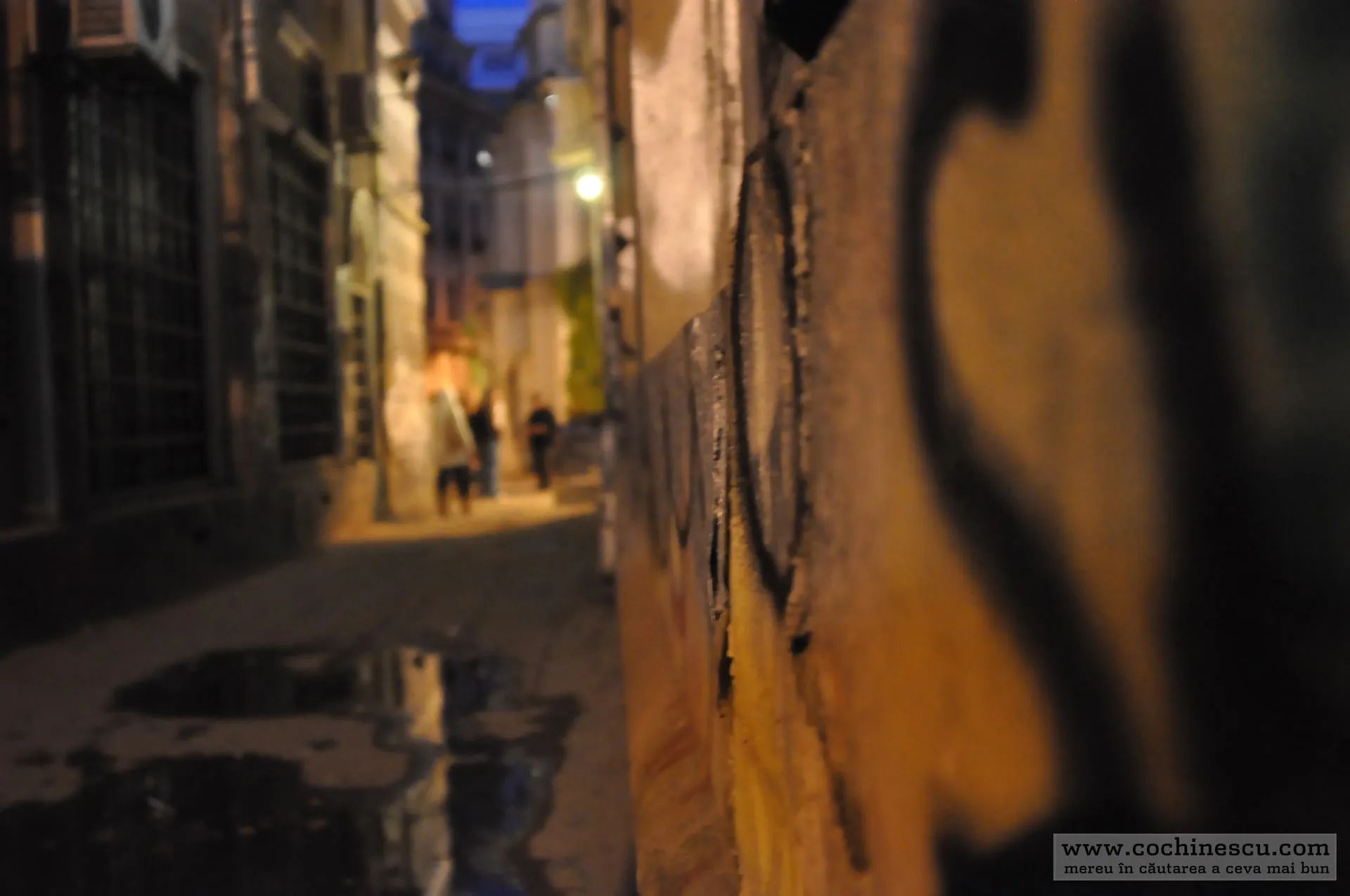 Photo 10 from “Photowalk #9”