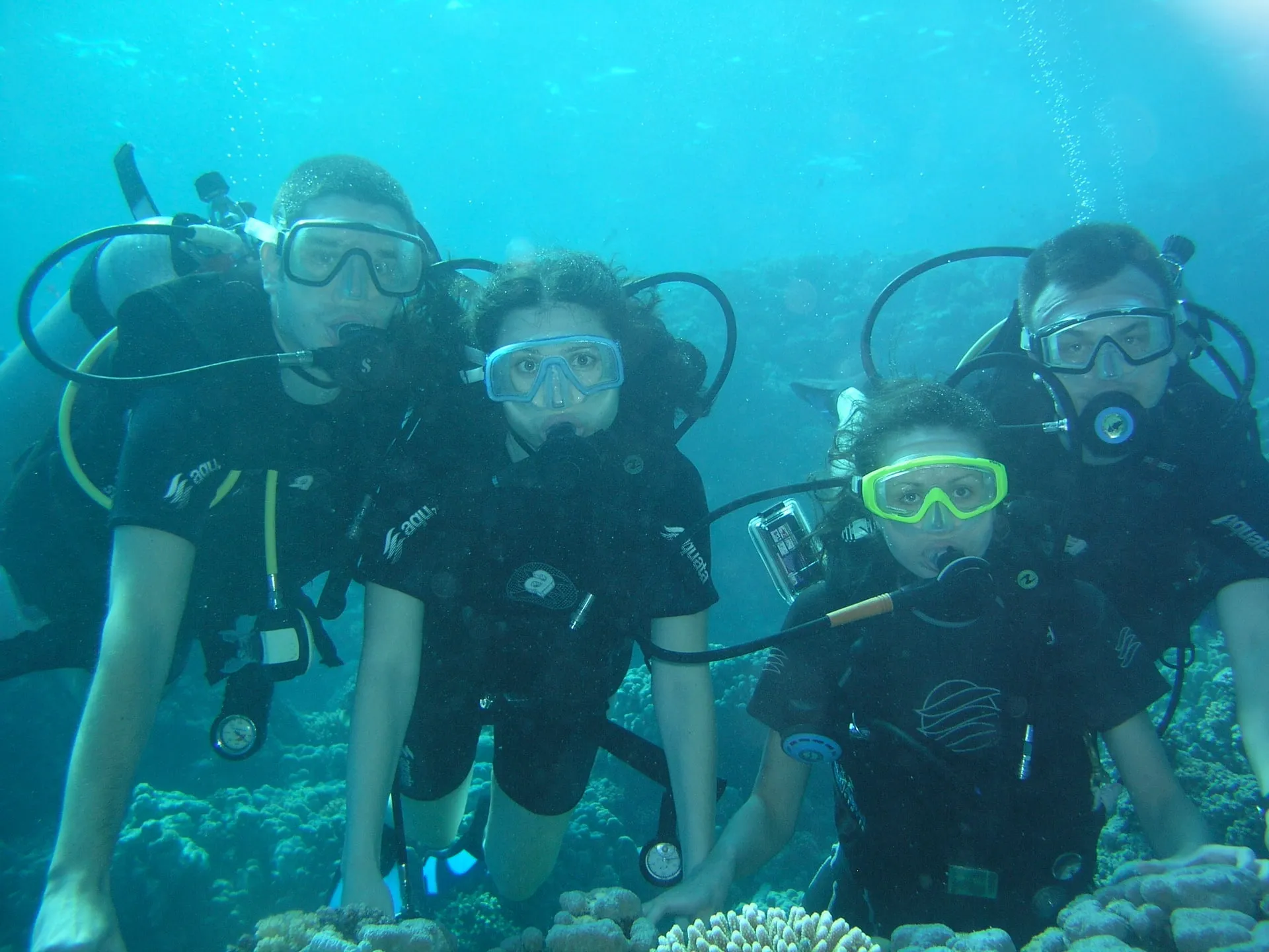 Photo 11 from “Diving in the Red Sea”