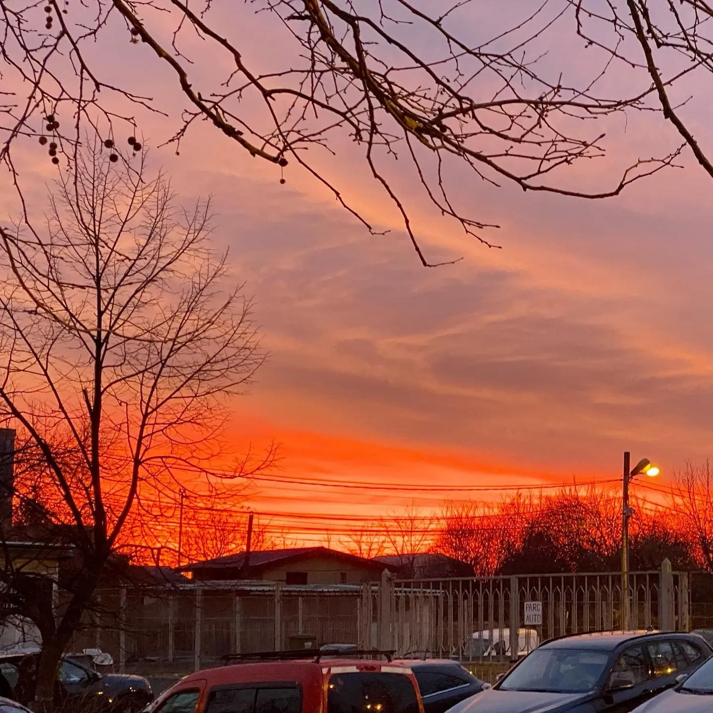 A vivid orange sunset glows behind bare trees, rooftops, power lines, and parked cars.
