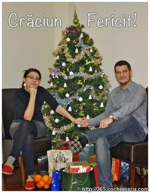 Cătălina și Sebastian stau lângă bradul împodobit, ținându-se de mână.