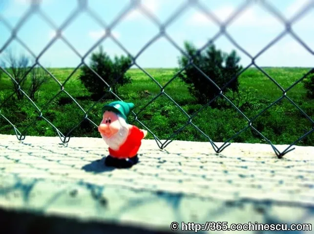 A garden gnome sits on a wall, in front of a wire fence and a green field.