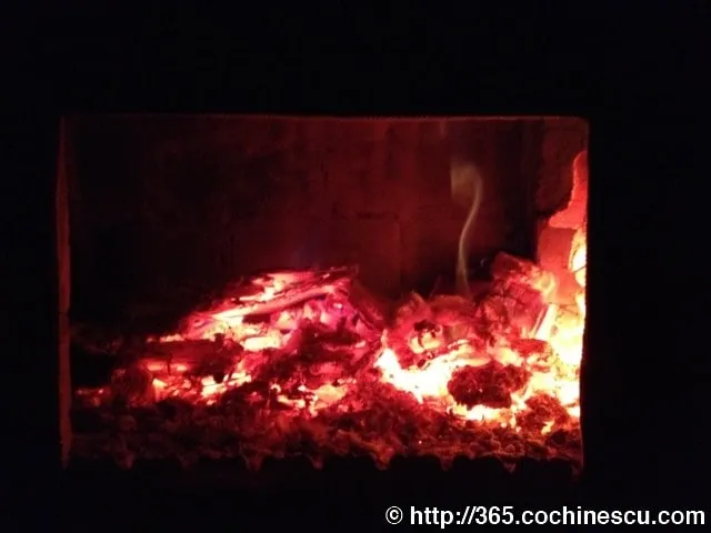 Jarii și câteva bucăți de lemn ard într-un șemineu întunecat.