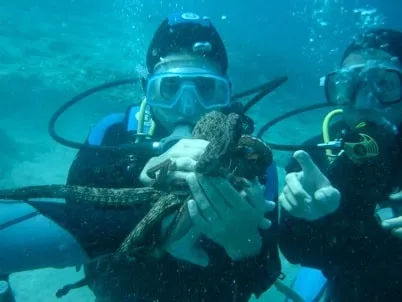 Photo from “Under water.”