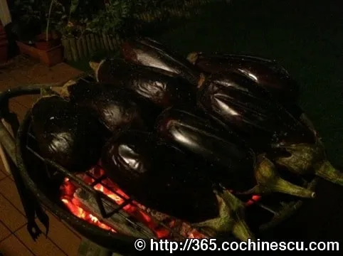 Mai multe vinete se coc pe un gratar cu jar aprins.