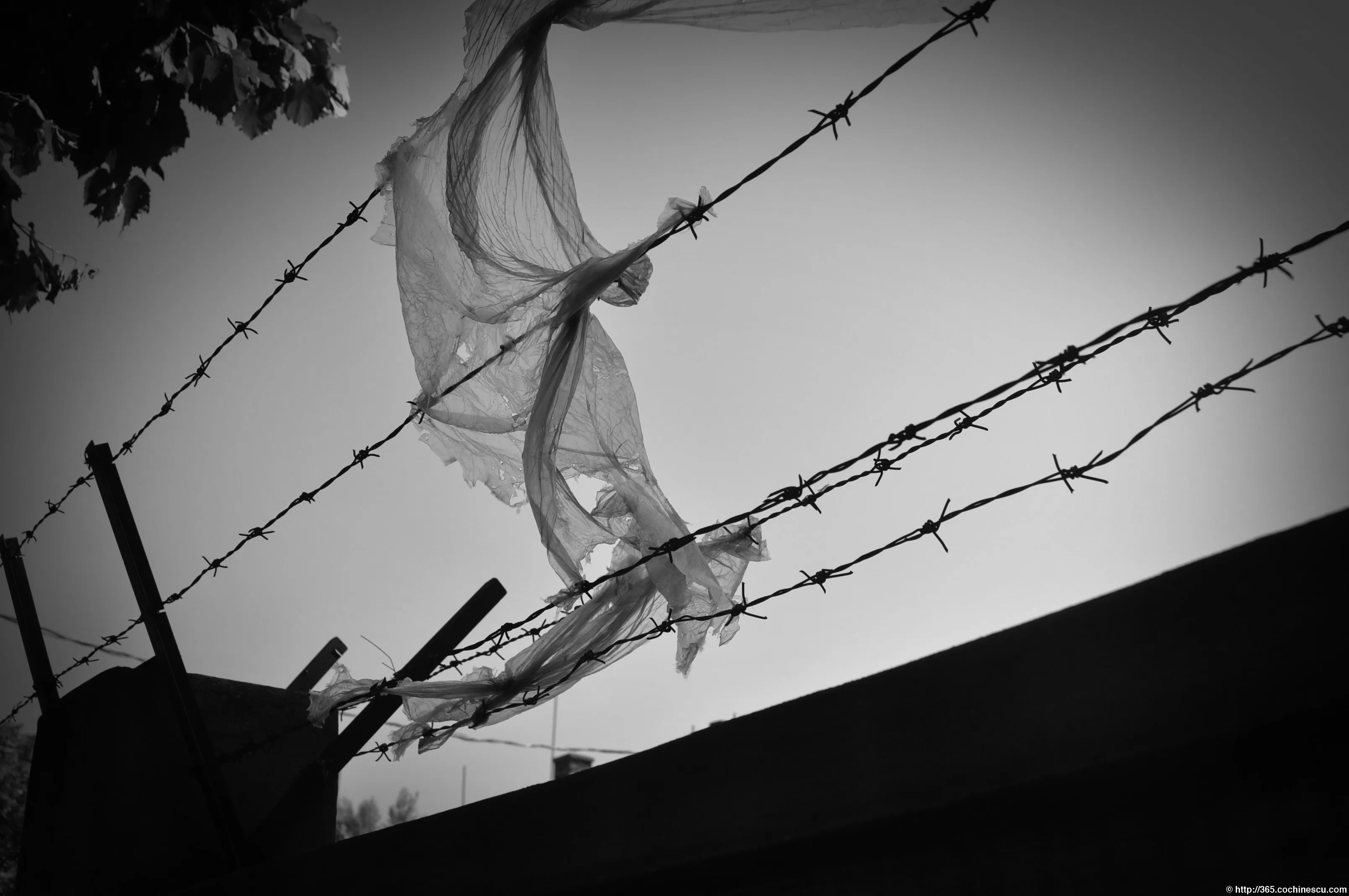 A plastic sheet hangs from the barbed wire of a fence.