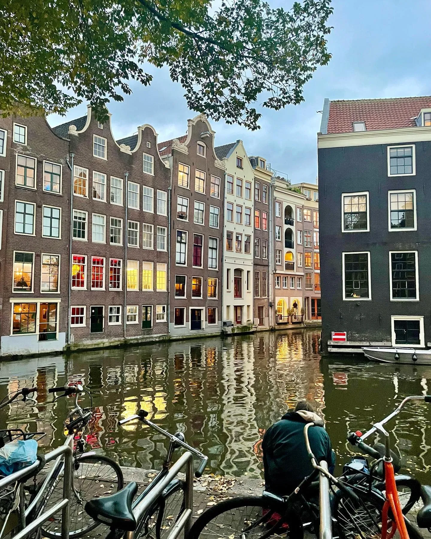 Traditional Amsterdam houses line a canal framed by leafy branches, bicycles, and shimmering reflections.