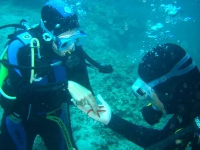 Photo from “Under water.”