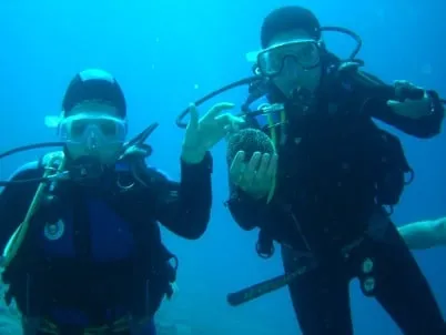 Photo from “Under water.”